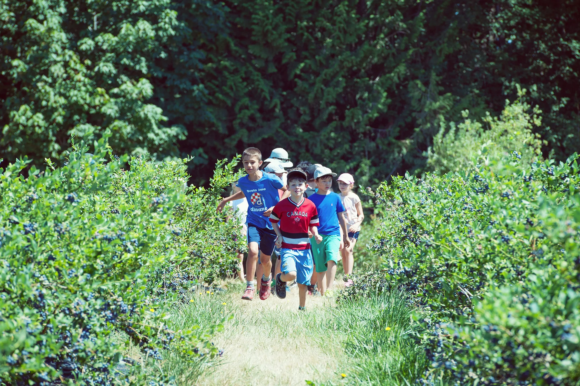 education, west kootenay teacher education, ubc