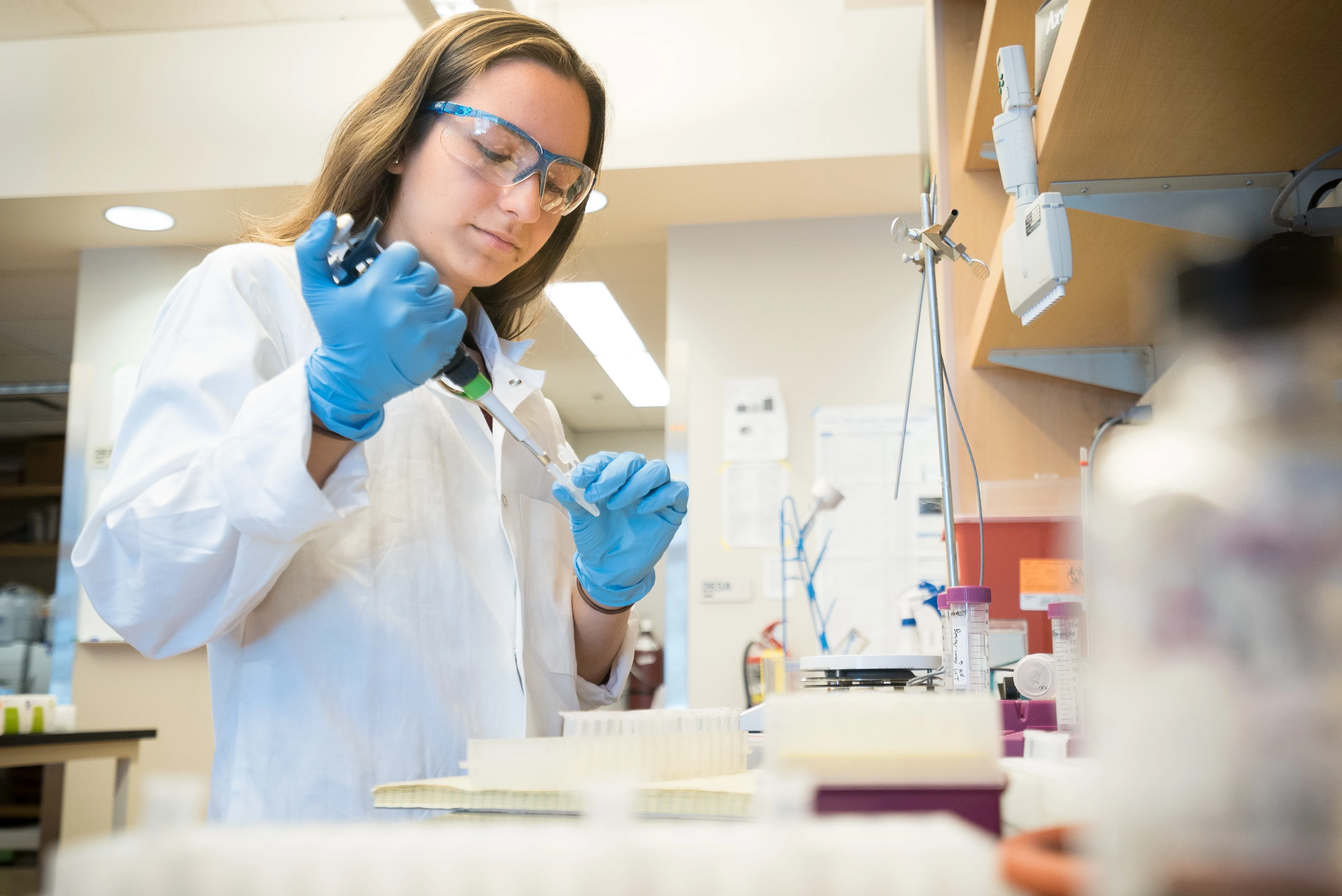 microbiology, ubc