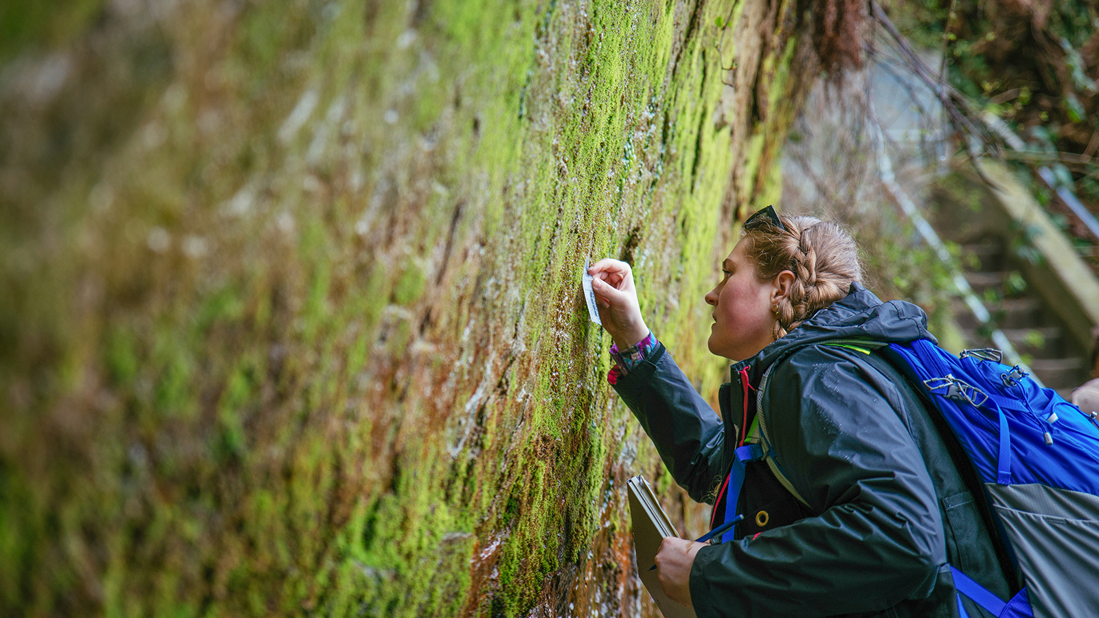 Earth And Environmental Science Iop at Jeremy Howell blog