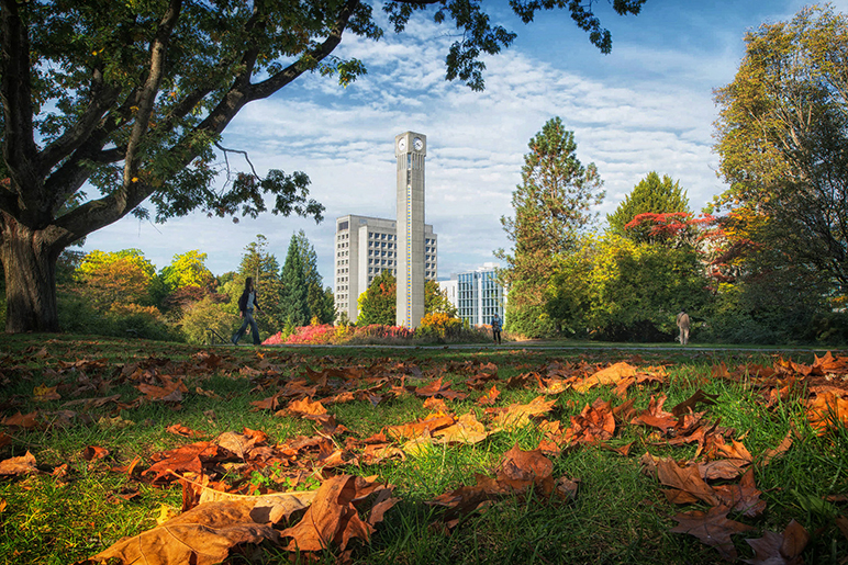 Fall at UBC's Vancouver campus - UBC | Undergraduate Programs and