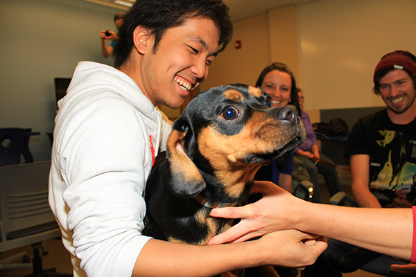 Therapy dogs help students combat stress