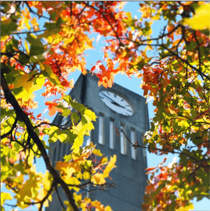 @youbcpic: Look up. Way up. The Ladner Clock Tower is an iconic campus landmark, known to many graduating classes of students. #UBC