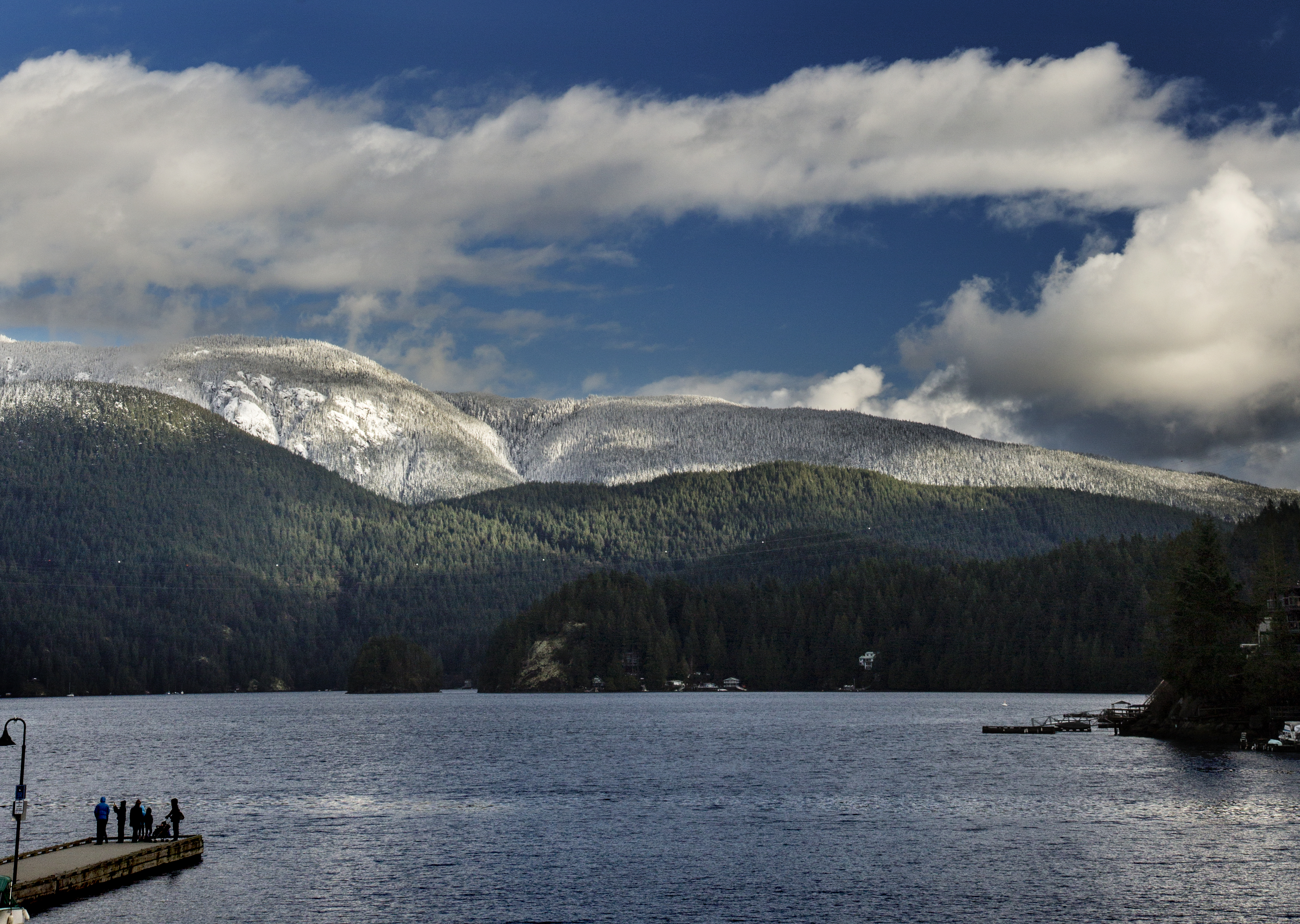 Which UBC Forestry program is for you?