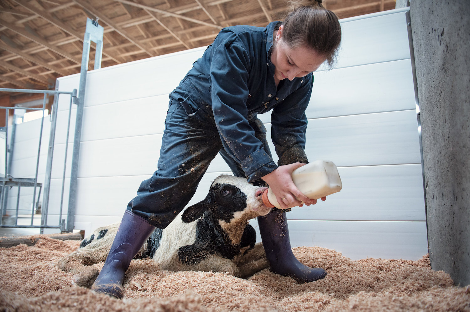 Degree spotlight Applied Biology UBC Undergraduate Programs and